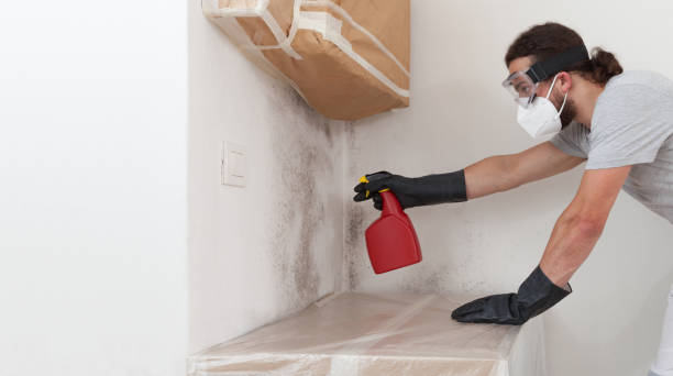 Professional Basement Mold Remediation technician working in East Jordan, MI