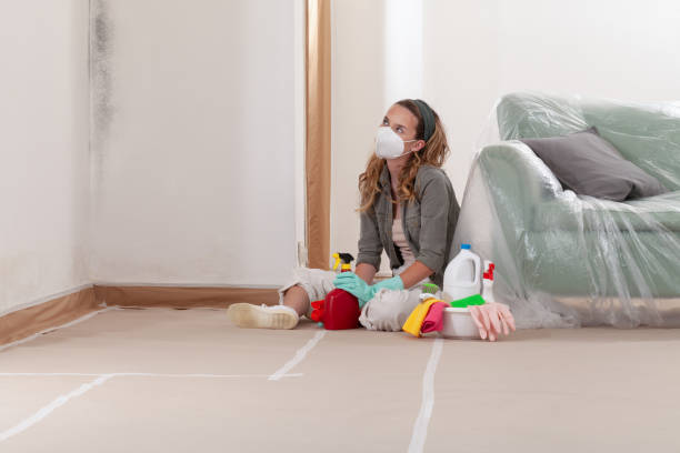 Reliable Basement Mold Remediation contractor in East Jordan, MI by Car Mold Remediation